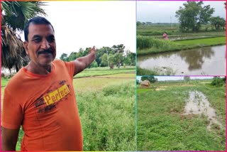 Farmers started farming of Kharif crop in Gaya