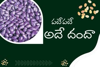 fake seeds, fake seeds sales, fake seeds sales in telangana