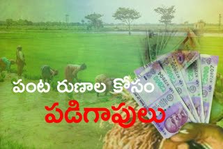 Farmers go to banks for loans