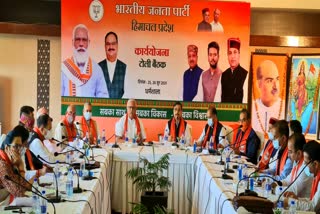 भाजपा वर्किंग ग्रुप की दो दिवसीय बैठक , Two day meeting of BJP Working Group