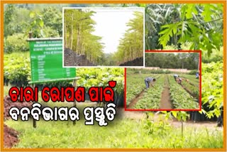 forest department goals to make industrial district Anugul greener