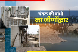 Dams of Chambal, Repair of Kota Dams