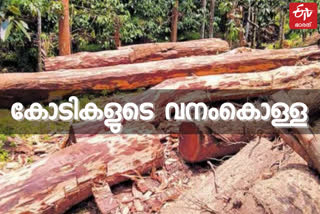 Forest Vigilance Report  illegal logging  wood robbery  muttil wood robberry  അനധികൃത മരംമുറി  മുട്ടിൽ മരംമുറി  വനം വിജിലന്‍സ് റിപ്പോര്‍ട്ട്  വയനാട് മരംമുറി  ഇടുക്കി മരംമുറി