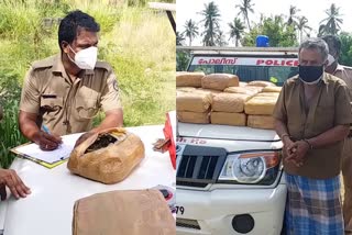 ganja seized  Ganja seized in Thiruvananthapuram  തിരുവനന്തപുരം നഗരത്തിൽ വൻ കഞ്ചാവ് വേട്ട  ganja arrest  Thiruvananthapuram  പേട്ട പൊലീസ്