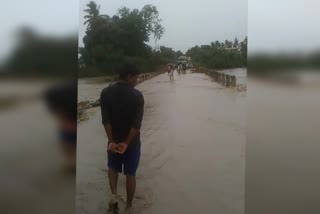 heavy rain in halapura village