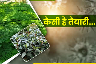 awareness about plantation