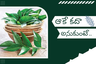 curry leaves, healthy curry leaves