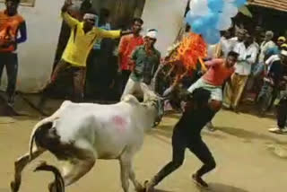 Man dies as ox hits him!  Sooranagi village of Lakshmeshwara taluk of Gadaga district  Kirana Kumara Malakajappa Nerthi  Ox race was conducted on the occasion of 'Khara Hunnime' festival  കര്‍ണാടകയില്‍ കാളയുടെ കുത്തേറ്റ് പരിക്ക്  സൂരനഗി ഗ്രാമത്തിലെ ഹനുമപ്പ ക്ഷേത്രത്തിന് മുന്‍പിലെ കാളയോട്ട മത്സരം  കര്‍ണാടകയിലെ ഗഡാഗ ജില്ല  Gadag district in the state of Karnataka  'ഖര ഹുന്നൈം' ഉത്സവം  കാളയുടെ കുത്തേറ്റ് മരണം  death by the hit of the ox