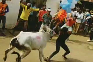 Man dies as ox hits during bull race conducted occasion of festival in karnataka Gadaga district