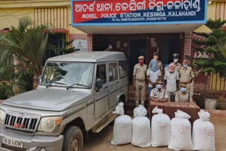 kalahandi police, two ganja smuggler arrested, ଗଞ୍ଜେଇ ମାଫିଆ ଗିରଫ, କଳାହାଣ୍ଡି ଜିଲ୍ଲା ପୋଲିସ , ବେଆଇନ ଗଞ୍ଜେଇ ଚାଲଣ