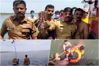 Rescued eagle trapped again on the lake Life saved by fire force  ചില്ലയില്‍ കുരുങ്ങി പരുന്ത്  ജീവന്‍ രക്ഷിച്ച് ഫയര്‍ ഫോഴ്‌സ്  Life-saving fire force  ചേർത്തല തണ്ണീർമുക്കം ബണ്ടിന് സമീപത്തെ വേമ്പനാട്ട് കായല്‍  Vembanad Lake near Cherthala Thanneermukkam Bund  കേരള ഫയര്‍ഫോഴ്സ്  kerala fire force  ആലപ്പുഴ വാര്‍ത്തകള്‍  alappuzha news