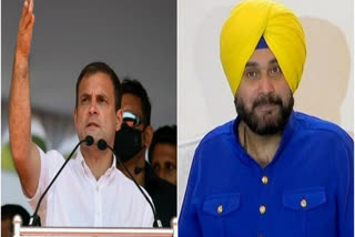 Punjab Congress crisis: Navjot Singh Sidhu to meet Rahul Gandhi tomorrow  navjot singh sidhu  punjab congress crisis  congress leader rahul gandhi  പഞ്ചാബ് കോൺഗ്രസ് പ്രതിസന്ധി; നവജോത് സിംഗ് സിദ്ധു കോൺഗ്രസ് നേതാവ് രാഹുൽ ഗാന്ധിയുമായി ചർച്ച നടത്തും  പഞ്ചാബ് കോൺഗ്രസ് പ്രതിസന്ധി  നവജോത് സിംഗ് സിദ്ധു