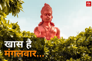 tuesday remedies how to get blessings of lord hanuman