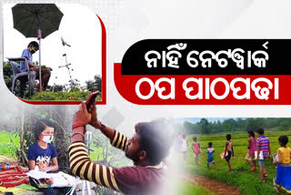 12ଗାଁରେ ନାହିଁ ନେଟୱାର୍କ, ପ୍ରସହନ ପାଲଟିଛି ଅନଲାଇନ ଶିକ୍ଷାଦାନ