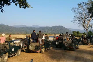 Jim Corbett National Park