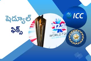 icc, t20 wc