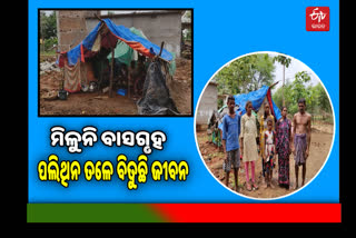 Eligible people not get abbas last seven year lives under polythin in nuapada