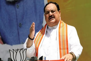 National BJP president JP Nadda adressed assam state bjp executives over video conference