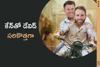 david warner, kane williamson