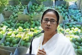 Mamata Banerjee