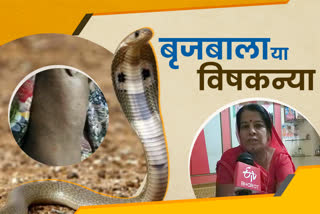 snake bite in rajasthan