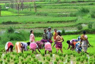 आत्मनिर्भर कृषि ऐप