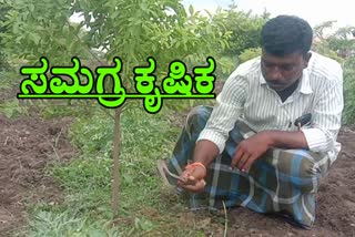 Kalburgi farmer succeed in Integrated farming