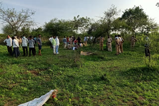 बिबट्याच्या हल्ल्यात टेलरचा मृत्यू