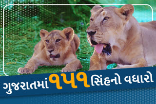 સિંહની ગણતરી