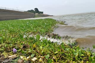 Tungabhadra reservoir