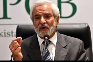 ehsan mani