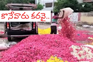 rose flower farmers