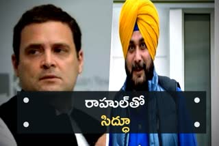 Sidhu meets Rahul Gandhi