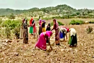 MNREGA  Sarpanch  सरपंच  मनरेगा  मनरेगा मजदूर  crime news  डूंगरपुर न्यूज