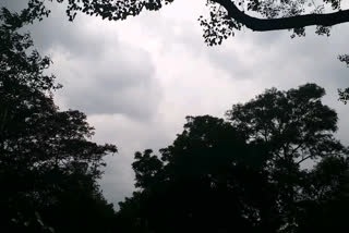 monsoon strayed from bundelkhand
