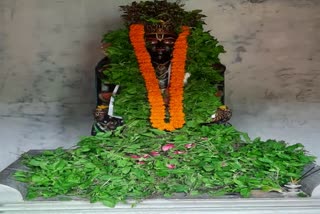 sri Hari Vishnu