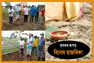 mla-binod-hazarika-busy-in-paddy-field