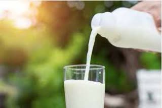 Rajkot milk price increase