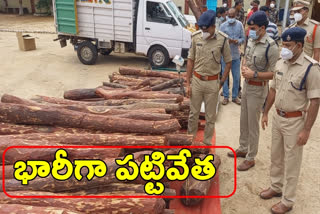 ten crore worth of red sandalwood seized in Chittoo