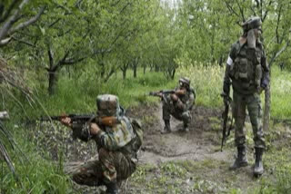 61 militant killed