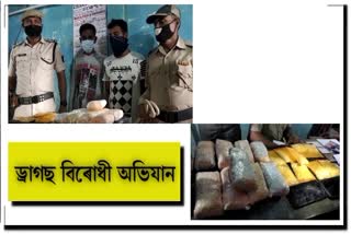 as_cachar-durgs-seized-worth-rupees-20-laks-at-silchar-vis-ASC10043
