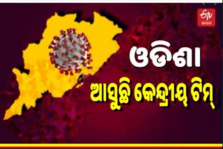 ରାଜ୍ୟରେ କାମୁନି ସଂକ୍ରମଣ, ସ୍ଥିତି ଯାଞ୍ଚ କରିବ କେନ୍ଦ୍ରୀୟ ଟିମ