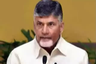 chandrababu fires on govt over TTD services