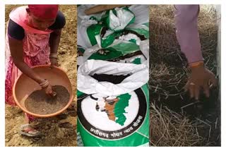 societies-are-making-farmers-aware-for-vermi-compost-fertilizer-in-janjgir-champa