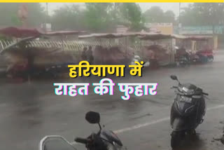 Haryana Weather Update