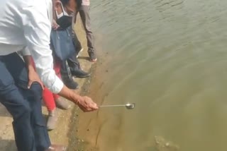 Fish reduce mosquitoes outbreak in delhi