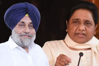 BSP and Akali not Congress, solution to power crisis in Punjab: Mayawati