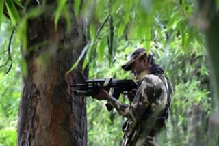 Chhattisgarh: Exchange of fire between security forces, Naxals underway in Narayanpur