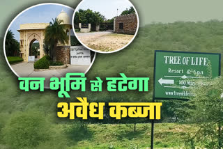 फॉरेस्ट नाहरगढ़ सेंचुरी,  इको सेंसिटिव जोन,  वन विभाग, Forest Nahargarh Century,  eco sensitive zone , Forest department , land allotment, Jaipur News,  Nahargarh Century Area