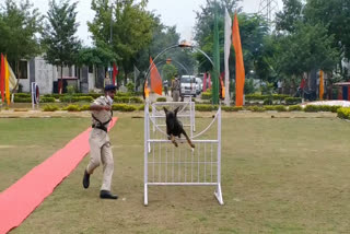 trend-dogs-parade-in-ranchi-cisf-dog-training-school